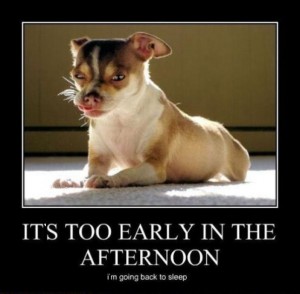 Waking-up-too-early...