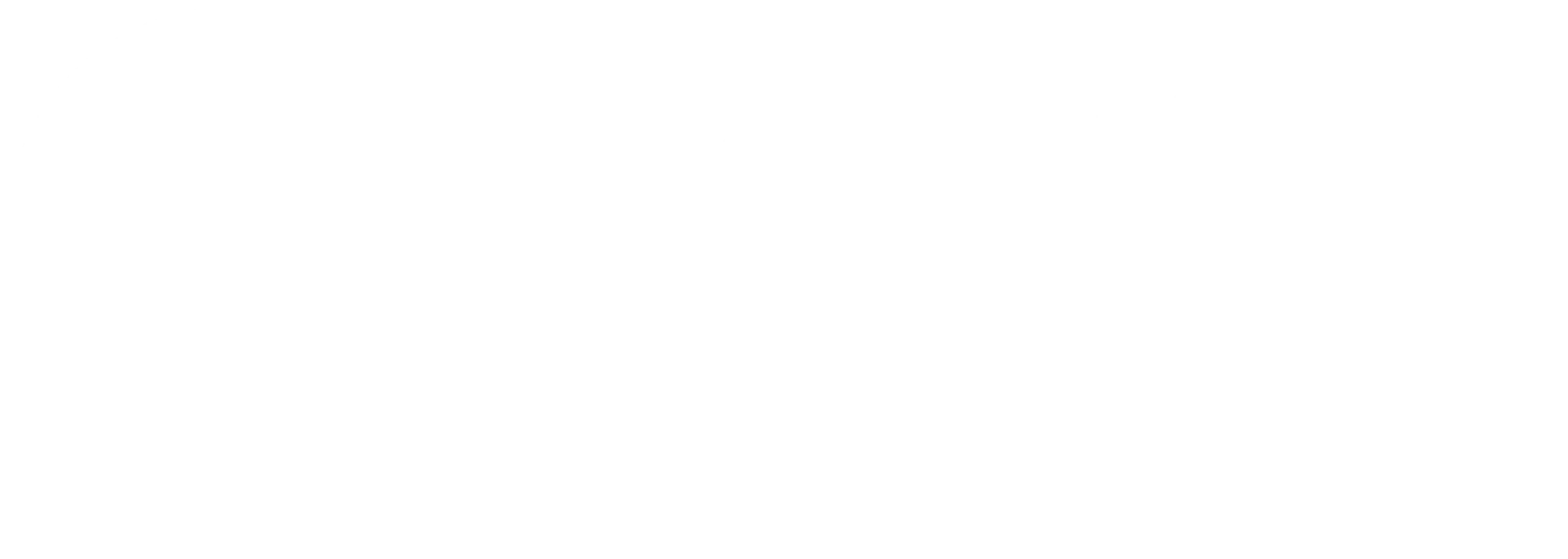 Private Fleet Logo white